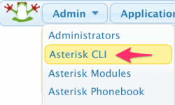  CLI Asterisk